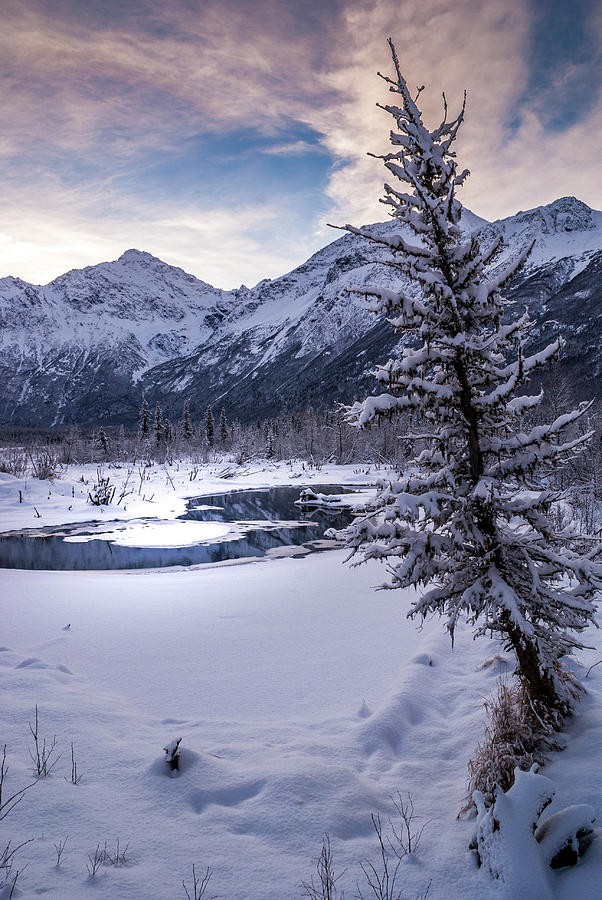 Winter in Alaska 2 Photograph by Donald Pash