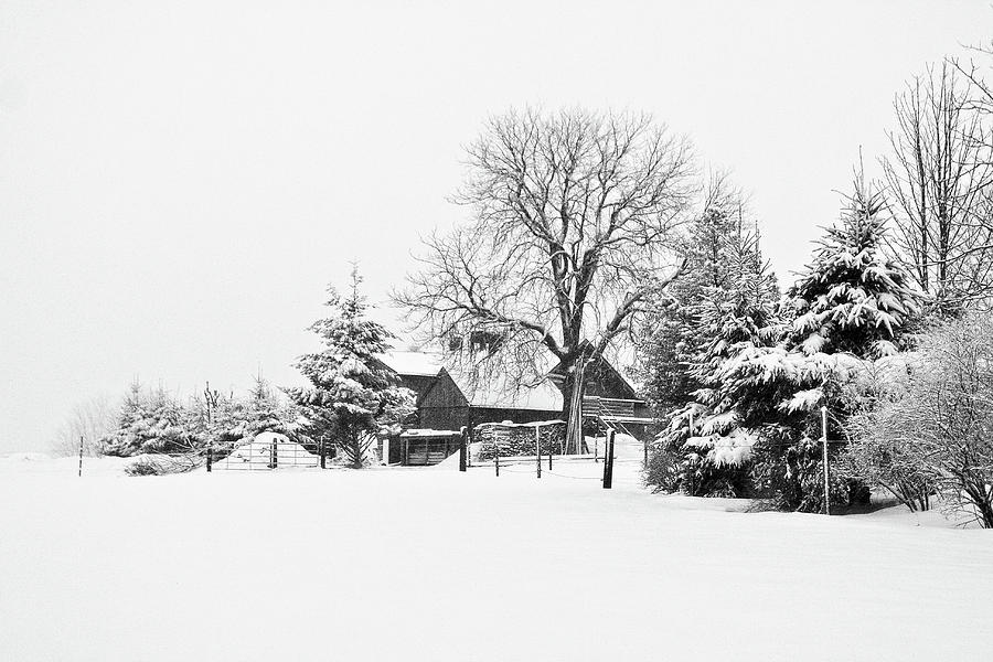 Winter in Black and White Fleckl, Germany 2 Photograph by Tatiana Travelways