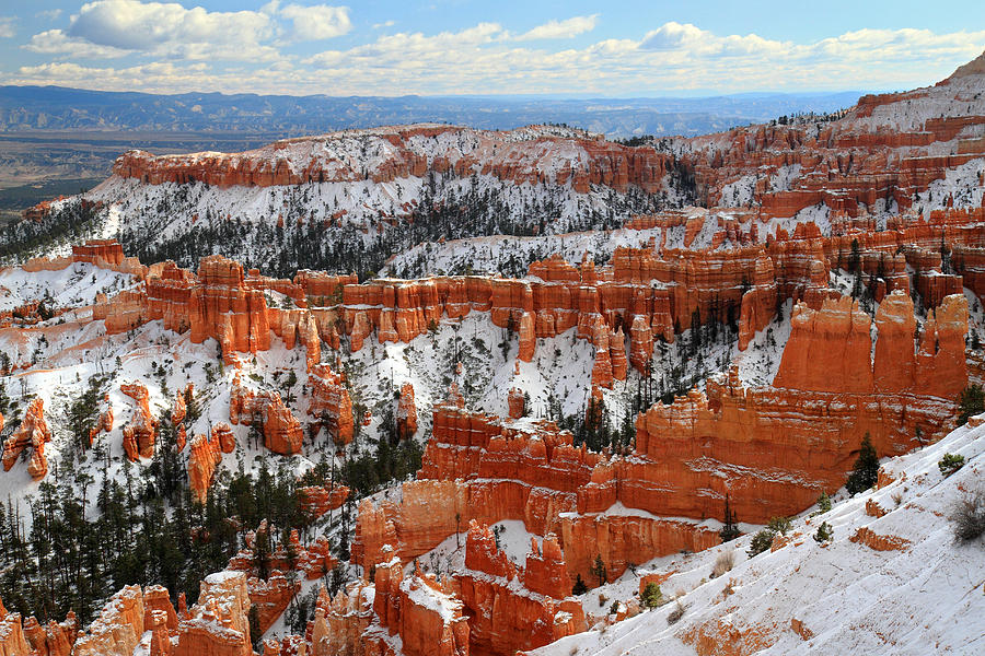 Winter In Bryce Canyon Photograph