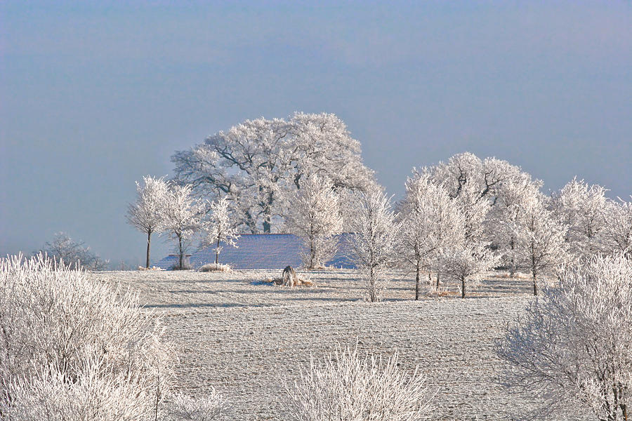 Winter Photograph - Winter in Canada by Alexandra Till