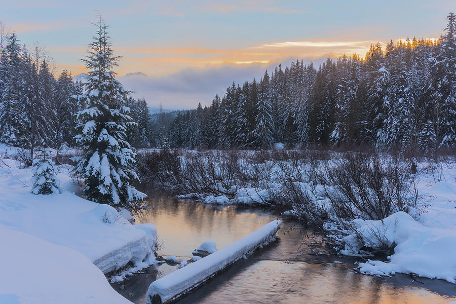 Winter in Gold Creek Pond Digital Art by Michael Lee