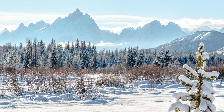 Winter In Grand Teton National Park Photograph by Yeates Photography