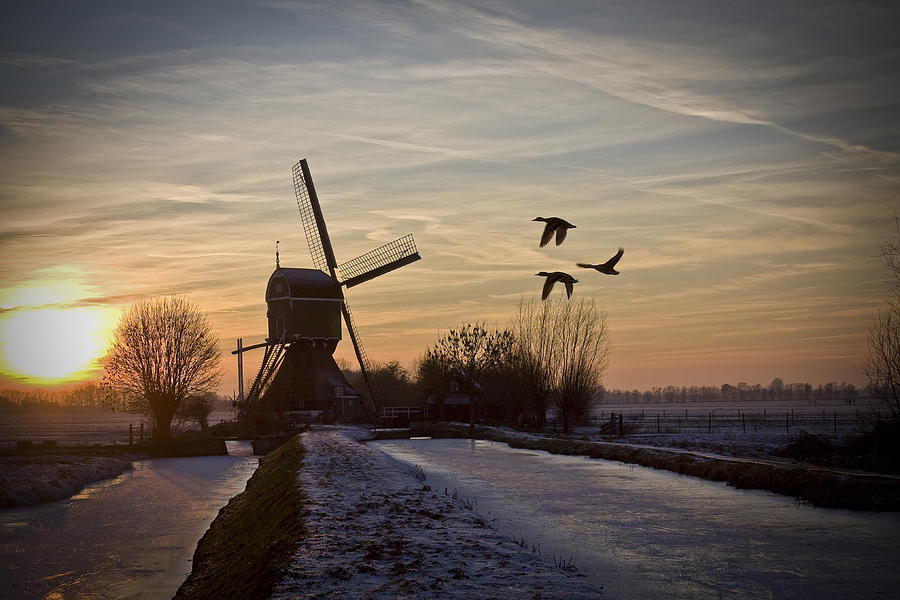 Winter in Holland-1 Photograph by Casper Cammeraat