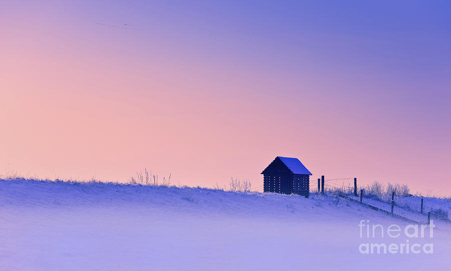 Winter in Holland Photograph by Henk Meijer Photography