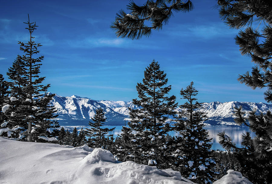 Winter in Lake Tahoe Photograph by Steph Gabler