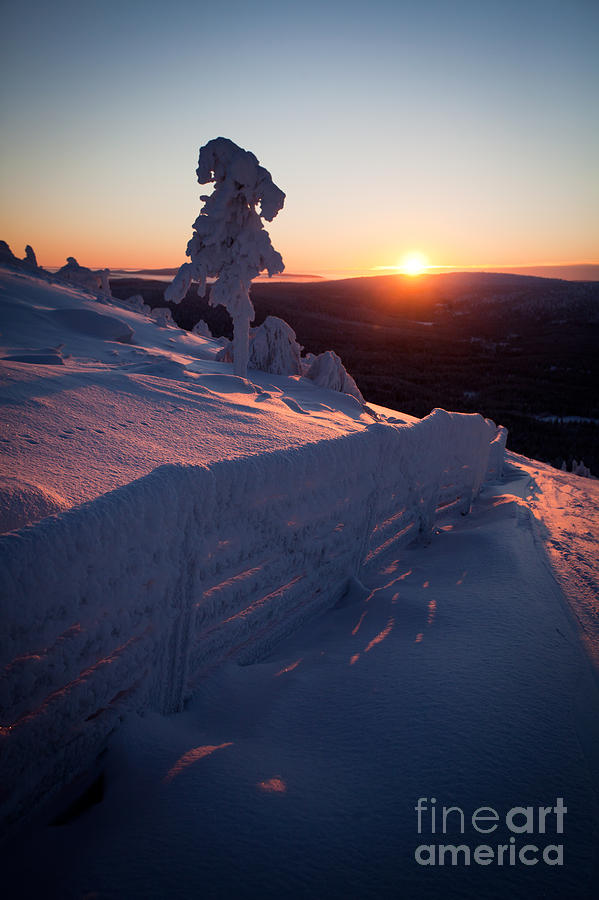 Winter in Lapland Finland Photograph by Kati Finell