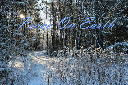 Winter in Maine - Peace On Earth Christmas Card Photograph by Sandra Huston