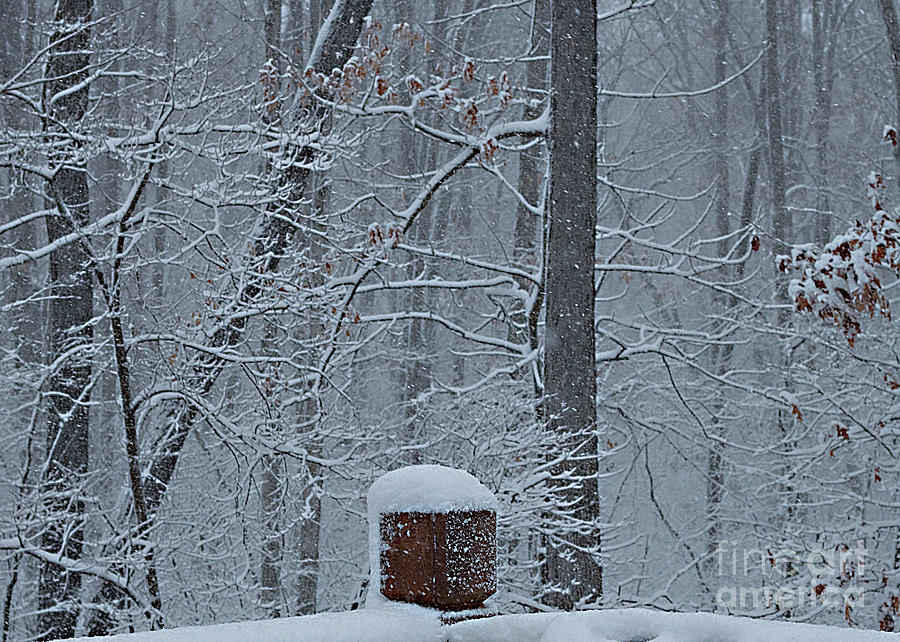 Winter in Missouri No. 1 Photograph by Sherry Hallemeier