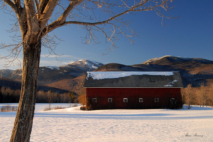 Winter in New England Photograph by Alana Ranney