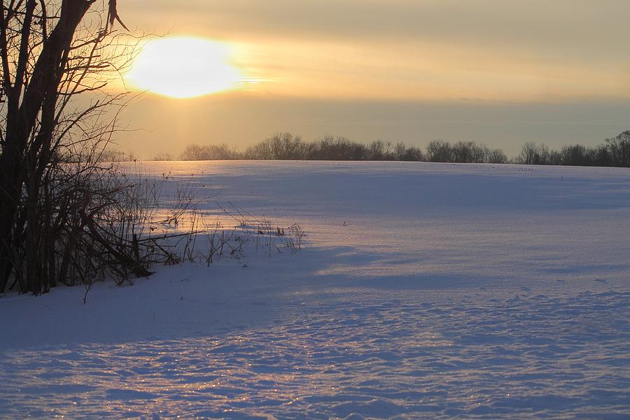 Winter in Ohio Photograph by Angela Murdock