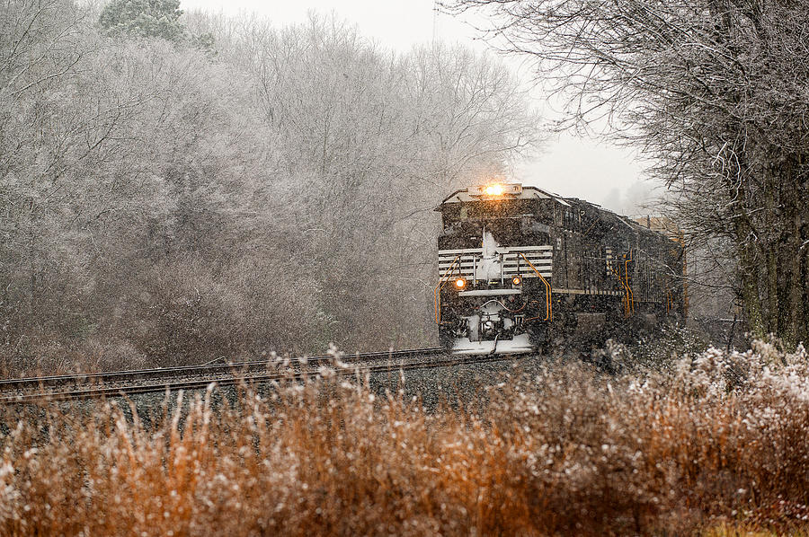 Winter in South Carolina Photograph by Derek Thornton