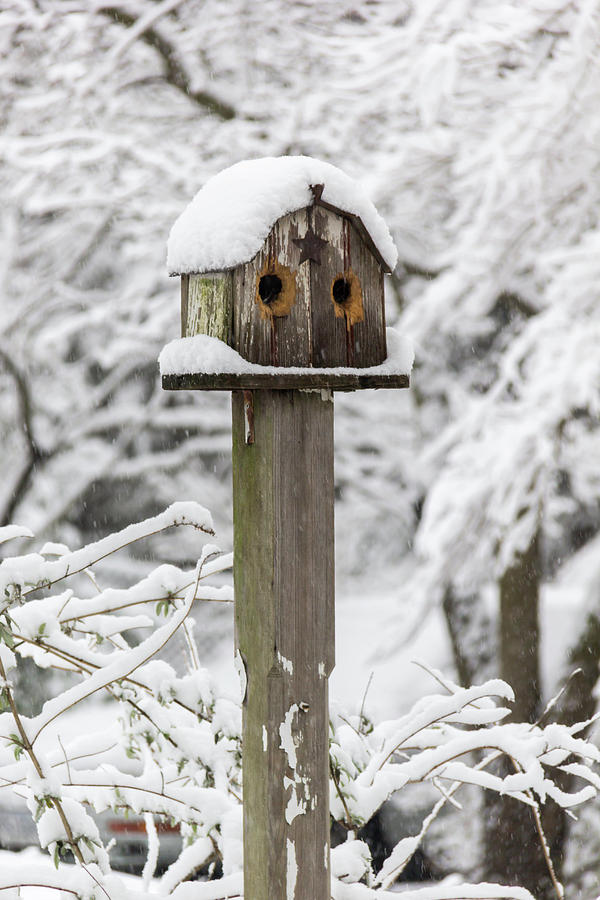Winter in Spring Birdhouse 2 Photograph by Teresa Mucha