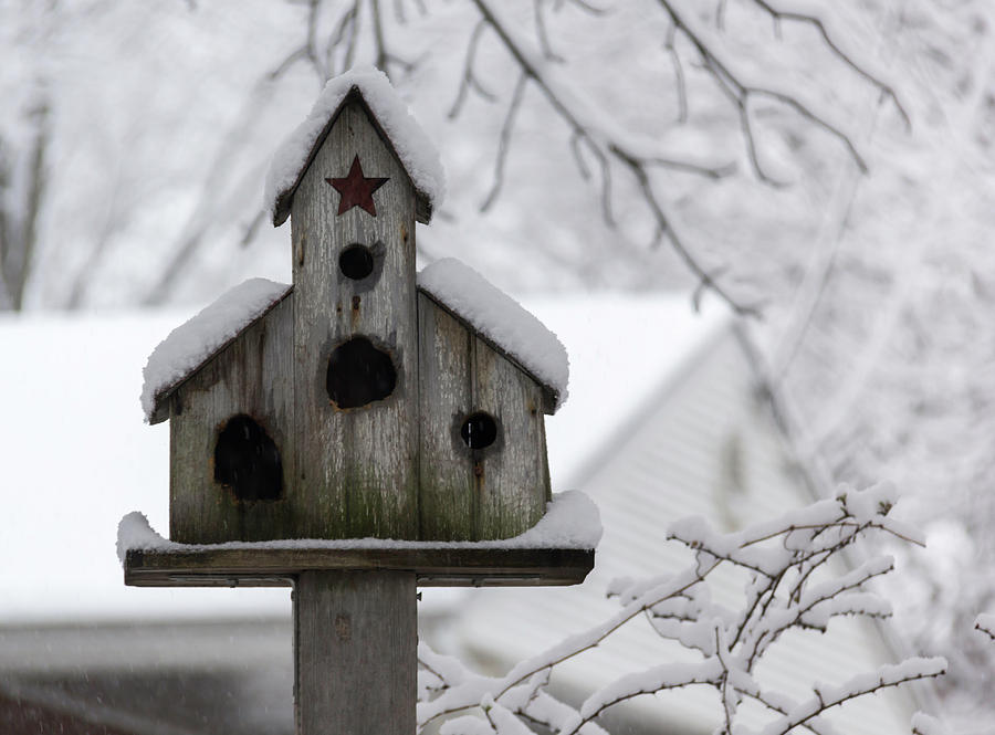Winter in Spring Birdhouse 4 Photograph by Teresa Mucha