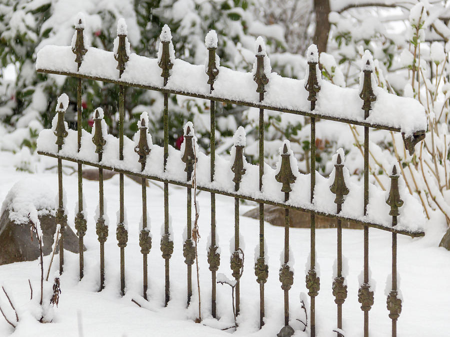 Winter in Spring Decorative Fence Photograph by Teresa Mucha