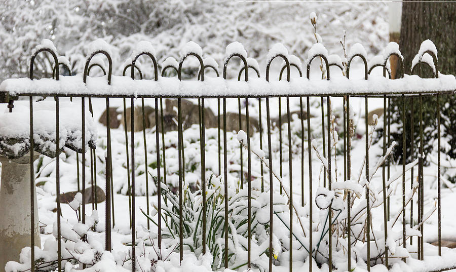 Winter in Spring Garden Fence Photograph by Teresa Mucha