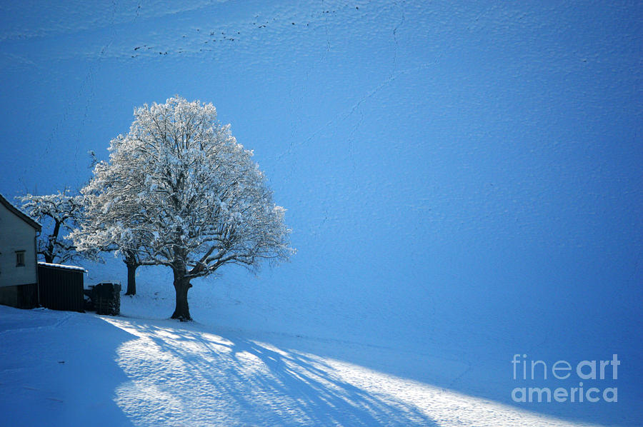 Winter In Switzerland - Snow And Sunshine Photograph