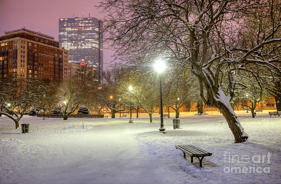 Winter In The Boston Public Garden Photograph By Denis Tangney Jr