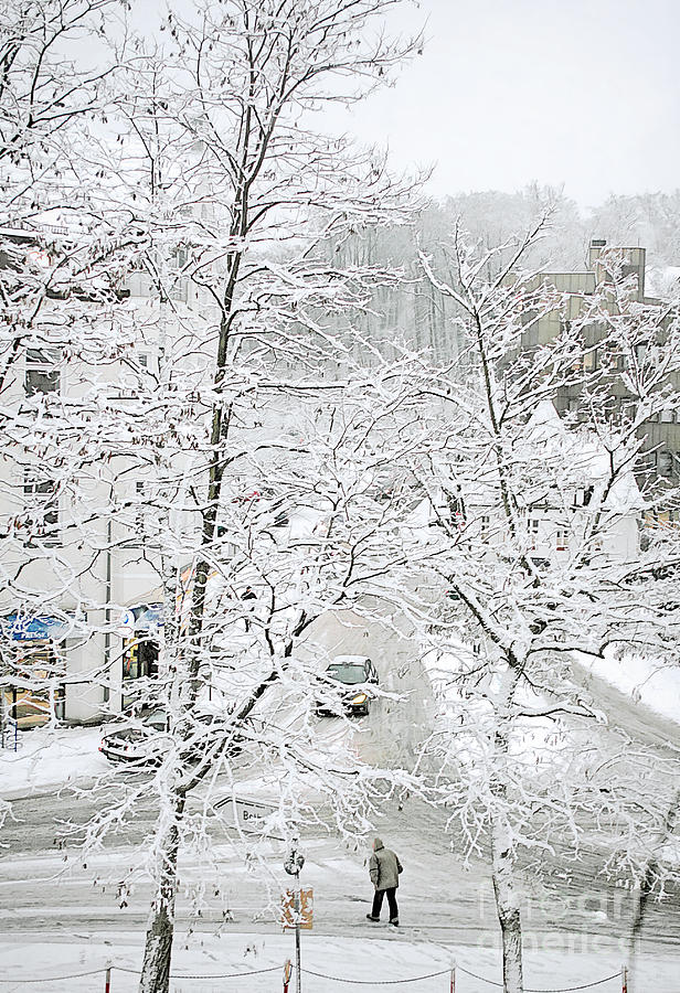 Winter in the City Photograph by Gabriele Pomykaj