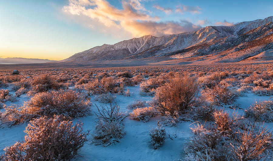 Winter In The Desert Photograph by Jonathan Nguyen