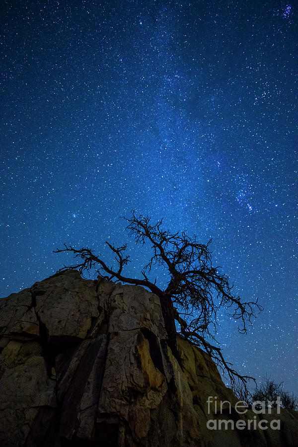 Winter in the Desert by Photography by Laura Lee Winter in the Desert by Photography by Laura Lee