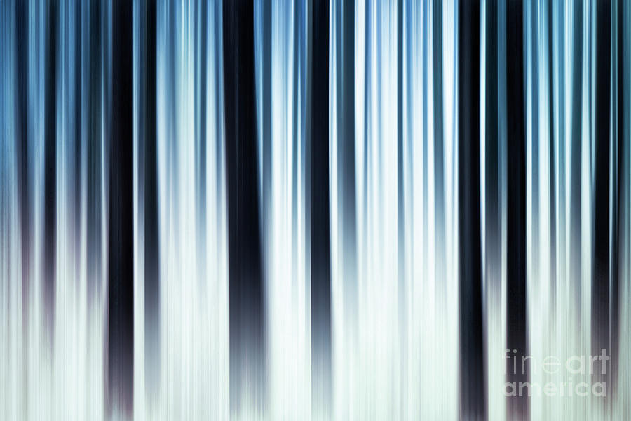Nature Digital Art - Winter in the forest by John Edwards