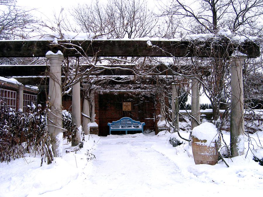 Winter in the Garden Photograph by Laura Kinker