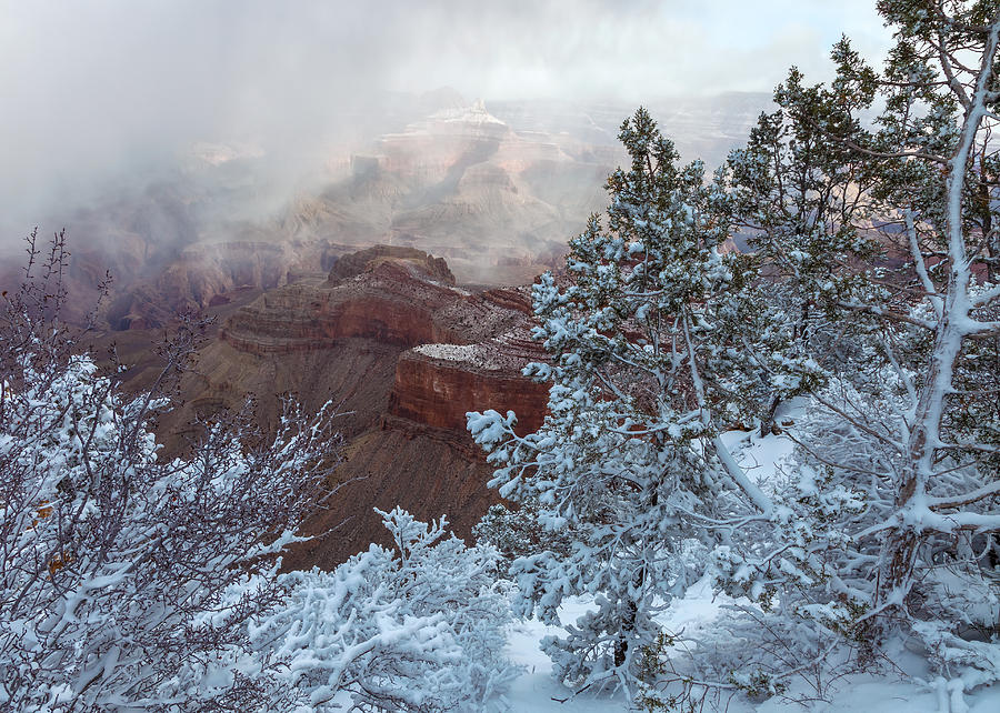Winter In The Grand Canyon Photograph by Jonathan Nguyen