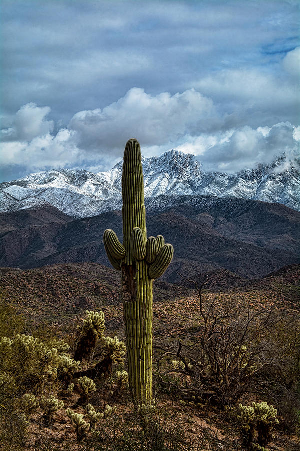 Winter in the High Deserts of Arizona  Photograph by Saija Lehtonen