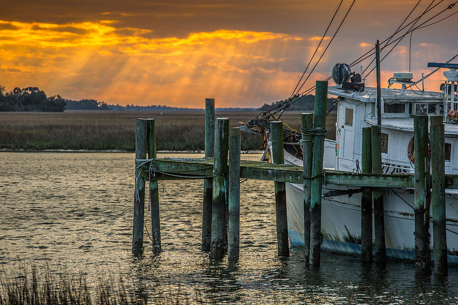 Winter in the Lowcountry  Photograph by Donnie Whitaker