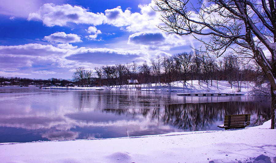 Winter Photograph - Winter in the Park by By Way of Karma