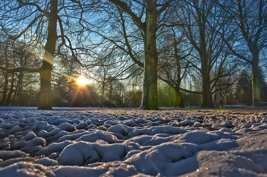 Sun Photograph - Winter In The Park by Frans Blok