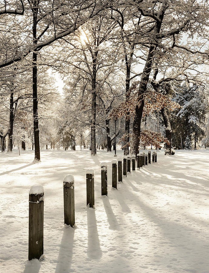 Winter Photograph - Winter in the Park by Jack Milton