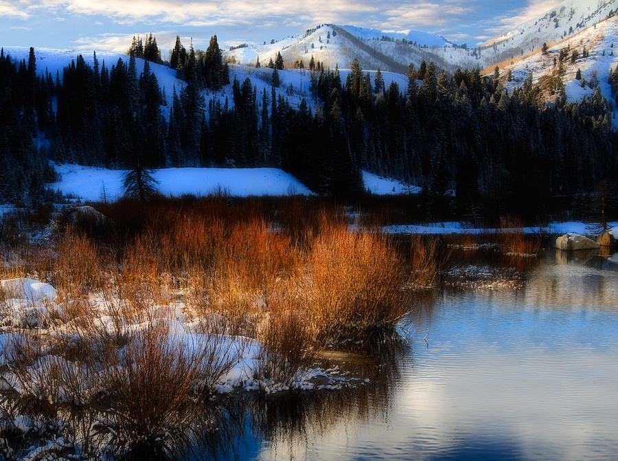 Winter Photograph - Winter in the Wasatch Mountains of Northern Utah by Douglas Pulsipher