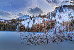 Winter In The Wasatch Mts. Photograph