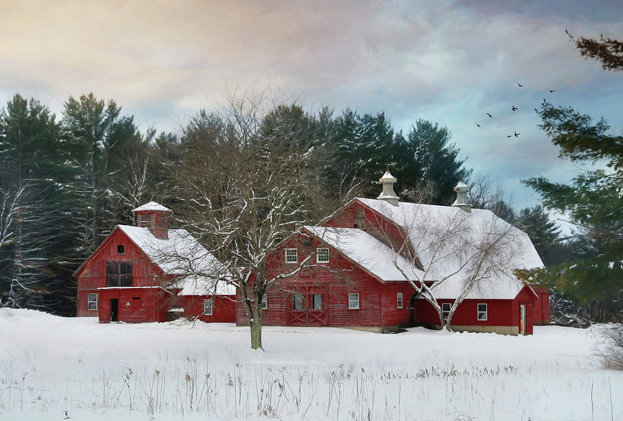 Winter in Vermont 2 Photograph by Lori Deiter