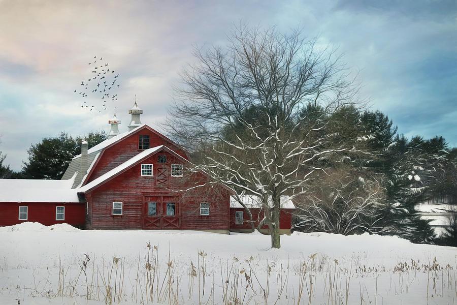 Barn Photograph - Winter in Vermont by Lori Deiter