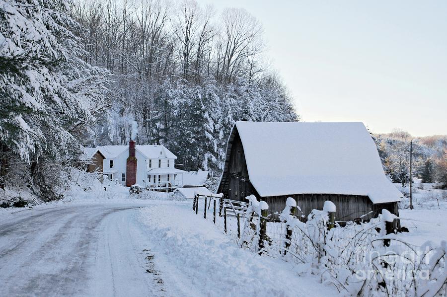 Winter in Virginia Photograph by Benanne Stiens
