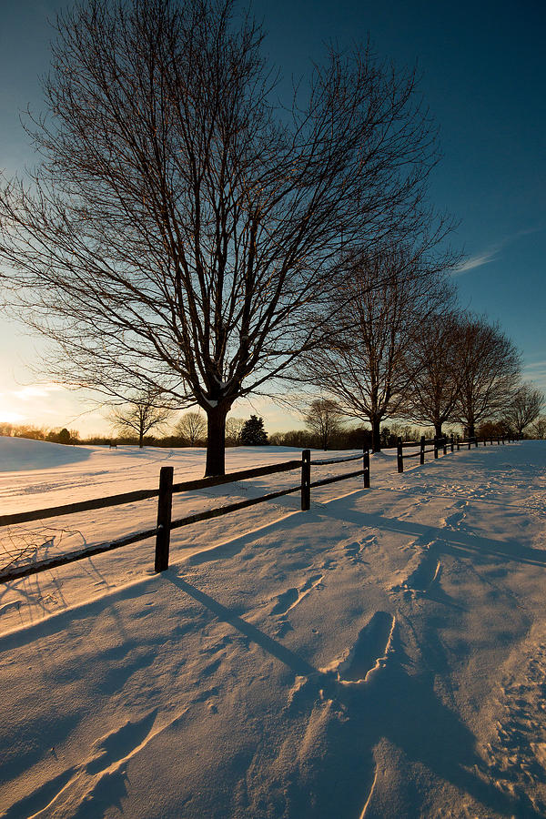 Winter in Virginia - Burke Lake Park Photograph by Riccardo Forte