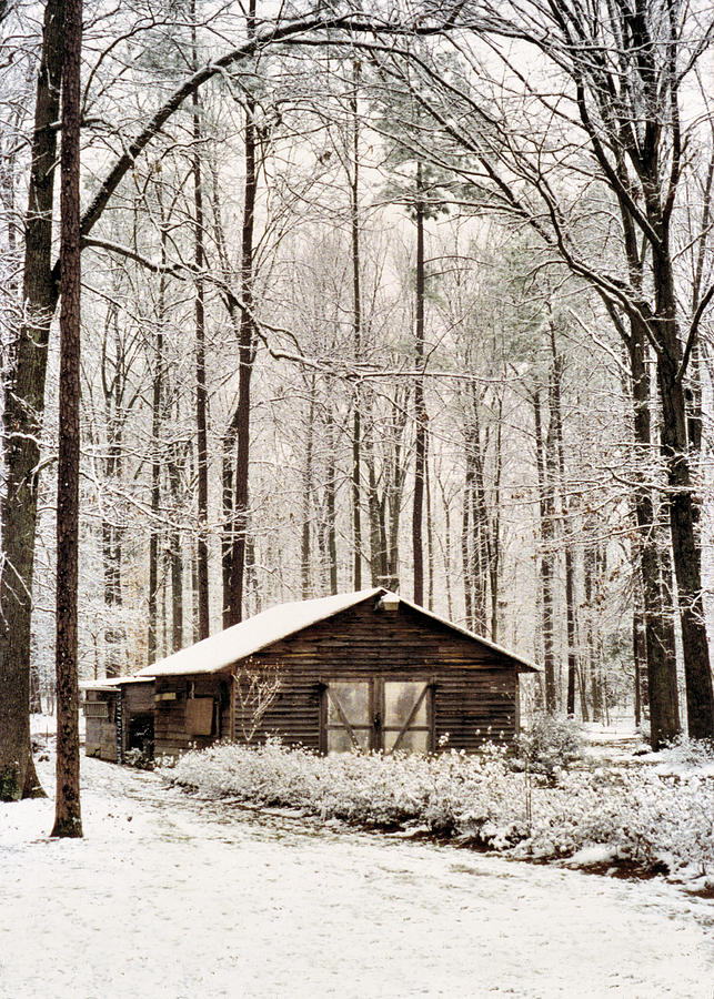 Winter In Virginia Photograph by Kathy K McClellan