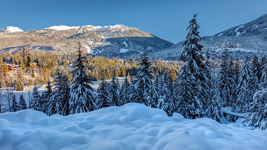 Winter in Whistler Photograph by Pierre Leclerc Photography
