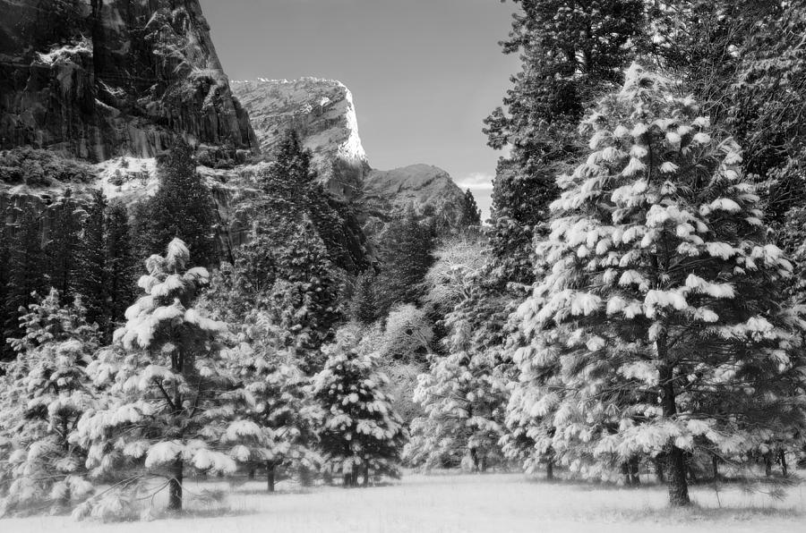 Winter in Yosemite Valley Photograph by Lawrence Knutsson