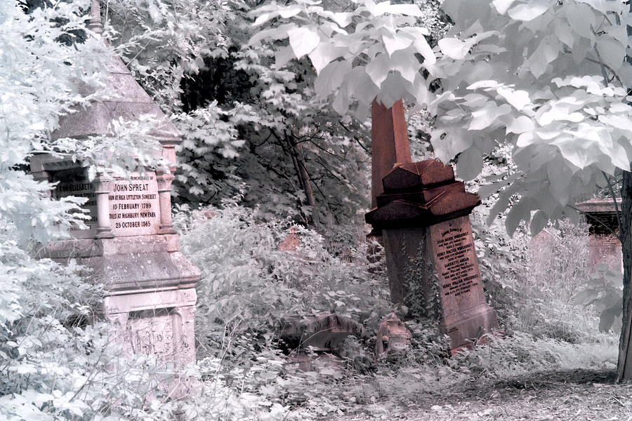 London Photograph - Winter infrared cemetery by Helga Novelli