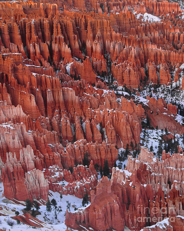 Winter Inspiration Point Bryce Canyon National Park  Utah Photograph by Dave Welling