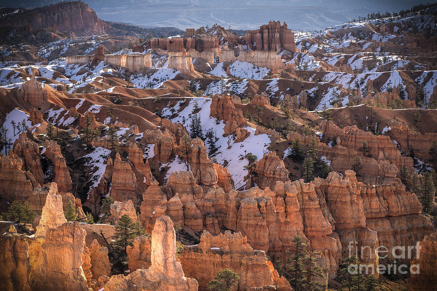 Winter Is Leaving Bryce Photograph