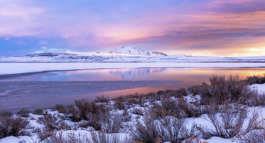 Winter Island Photograph by Darlene Smith