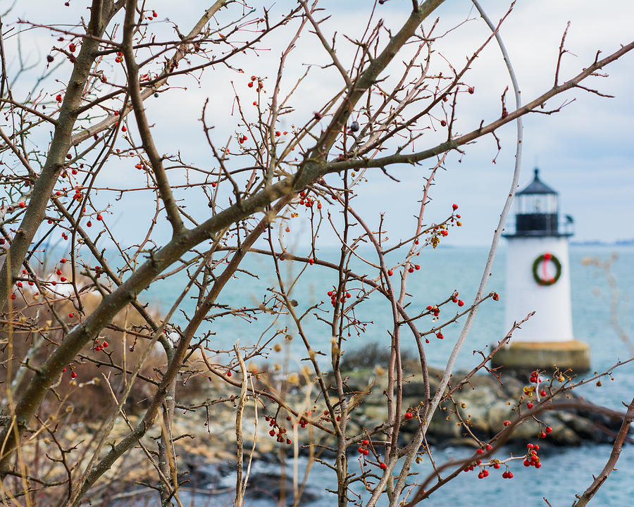 Winter Island Lighthouse at Christmas, Salem Massachusetts Photograph by Nicole Freedman