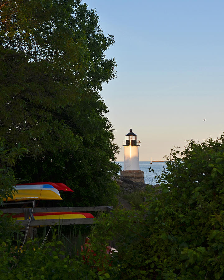 Fort Pickering Lighthouse Through the Trees Photograph by Toby McGuire