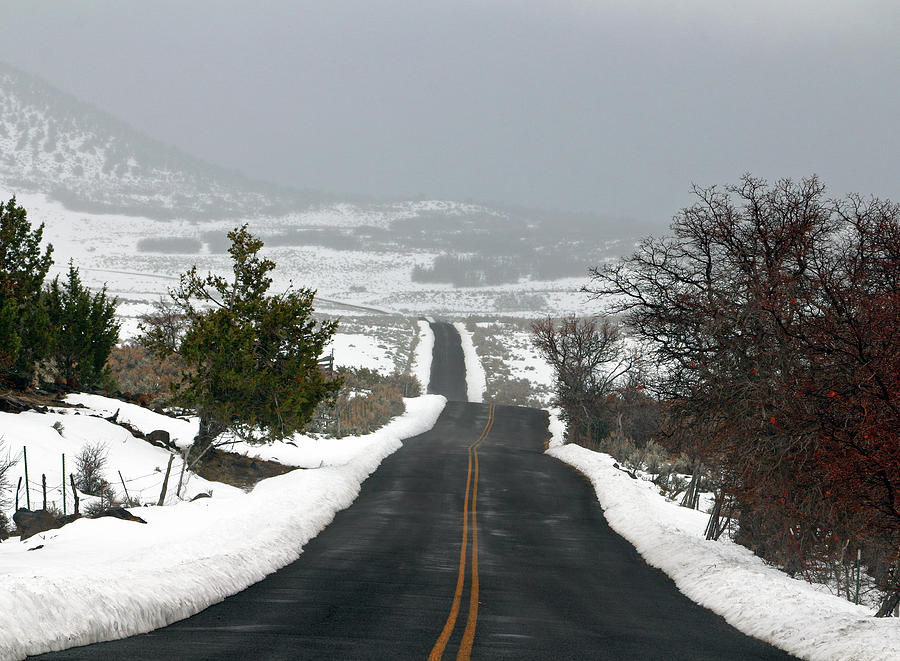 Winter Journey 1 Photograph by Nicholas Blackwell