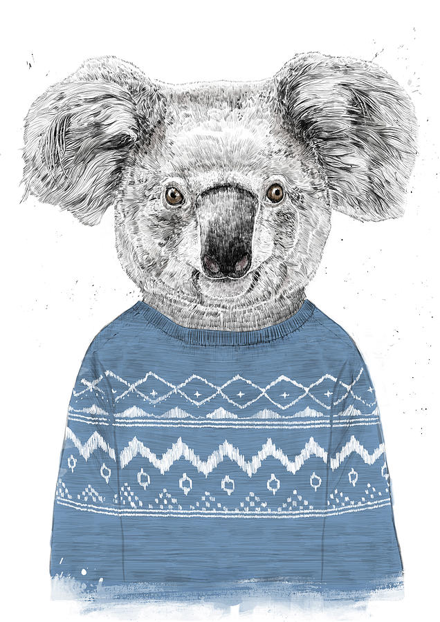 Winter Drawing - Winter koala by Balazs Solti