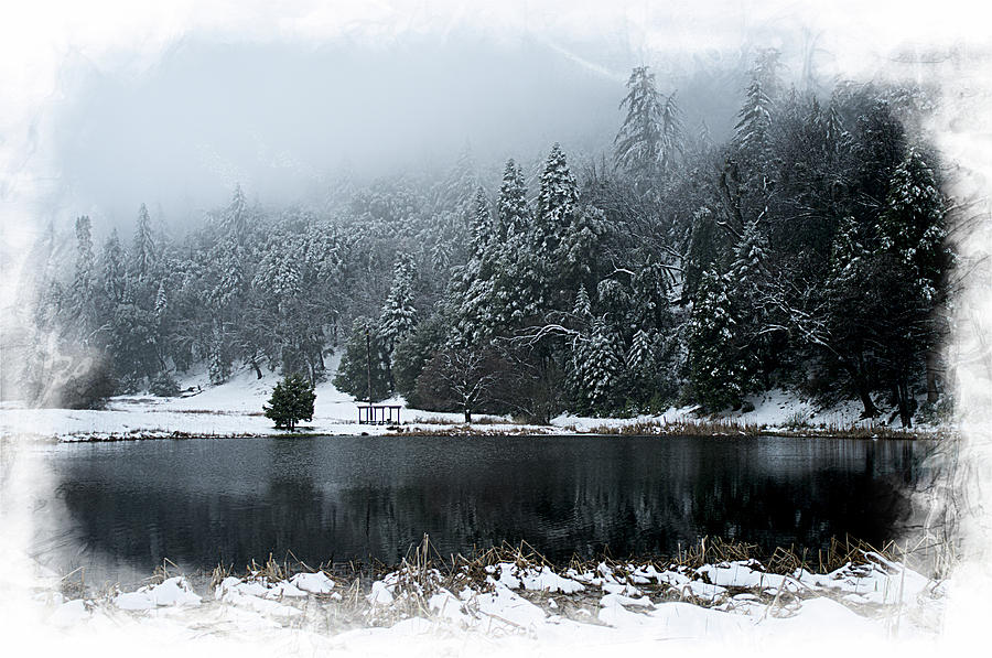 Winter Lake Photograph by Hugh Smith